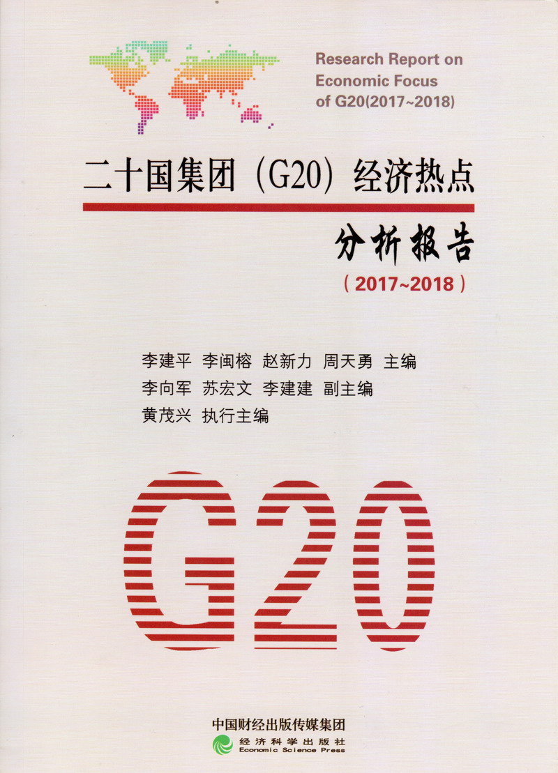 少萝逼好湿二十国集团（G20）经济热点分析报告（2017-2018）